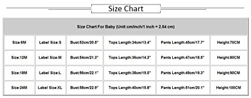 Fabal 2Pcs Infant Toddler Baby Girls Rabbit Print Tops Coat+Pants Outfits Clothes Set (12-18Months, Red)