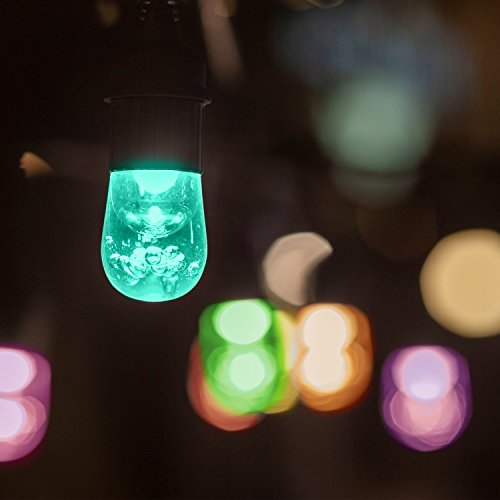 Enbrighten Seasons Café Lights, Outdoor String Lights, Black, 24 Foot Length, 12 Lifetime Bulbs