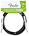 Fender 10-Foot Instrument Cable, Straight-Straight - 2 Pack Bundle with Fender Play Online Lessons