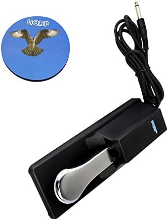 Hqrp Piano Style Sustain Pedal For Korg Sp 170 Sp 170s Sp 250 Sp 280 Sp 300 Sp 500 Digital Piano Keyboard Footswitch Damper Pedal Hqrp Coaster Amazon Com Au Electronics