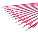 SHENG-RUI Archery Youth 24 26 inch Safety Glass Vaned Arrows Fiberglass Arrow Pink - Will Not Splinter
