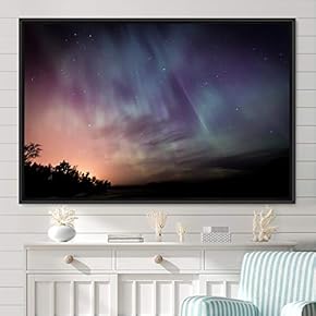 signwin Framed Canvas Wall Art Dayspring Astronomy &...