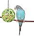 JW Pet Company Activitoys Hol-ee Roller Bird Toy ( Color May Vary )thumb 1