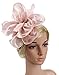 Urban CoCo Women's Vintage Flower Feather Mesh Net Fascinator Hair Clip Hat Party Wedding (Nude Pink-Series 4)