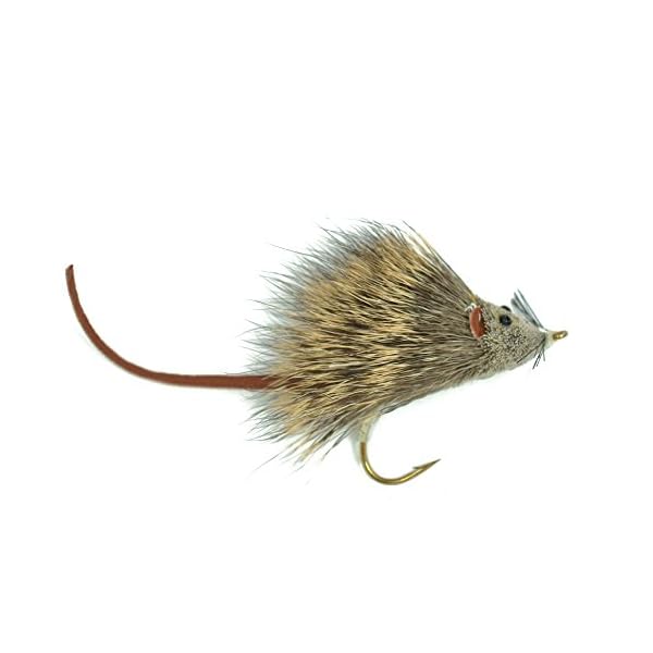 The-Fly-Fishing-Place-Bass-Bug-Collection-Set-of-12-Bass-Fly-Fishing-Flies-Surface-Poppers-Divers-and-Subsurface-Hook-Sizes-24-and-6