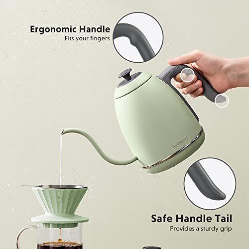 BUYDEEM K821 Electric Gooseneck Kettle with Variable Temperature