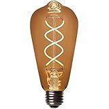 LED Edison Light Bulb, LED Filament Vintage Bulb Dimmable Edison Bulb LED Filament Vintage Bulb, Flexible Filament, Single Bulb (Clear Glass, 5W ST64 Edison Bulb)