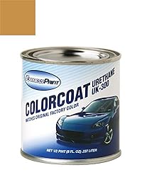 ColorRite Half-Pint for Chrysler Van Automotive