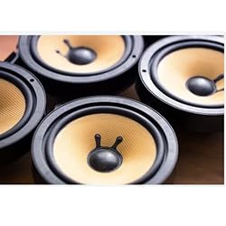 Fielect 5.6inch/142mm Foam Speaker Edge Surround