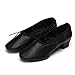 Roymall Women's Latin Dance Shoes Model 101