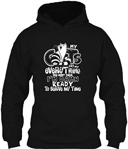 My Cats Are My Everything T Shirt, You Hurt them I'm Damn Ready T Shirt Hoodie (XXL,Black)