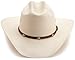 Stetson Men's Alamo Hat