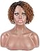 Kalyss 100% Human Hair Afro Short Curly Wavy 2 Tones Ombre Brown Black Roots Wigs for Black Women Lace hair wigs Side L Parting Bouncy Wigs
