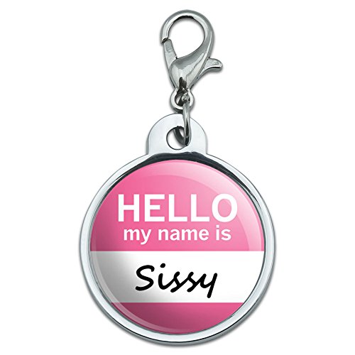 Chrome Plated Metal Small Pet ID Dog Cat Tag Hello My Name Is SI-TE - Sissy