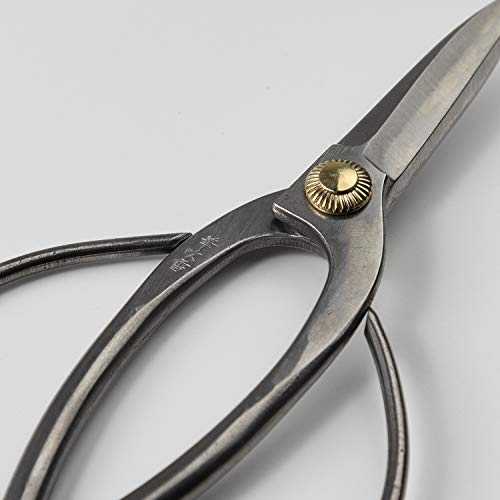 Hanafubuki Professional Bonsai Scissors Stainless Steel with Shinogi, Made in Japan 7inch(180mm), Japanese Bonsai Garden Tools, Hasami Pruning Shears - Traditional Stainless Steel - Thumbnail 3