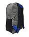 Marvel Black Panther Full Size Two Zipper Compartment Backpack for School or Travel, 16 inches