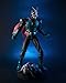 TAMASHII NATIONS Bandai S.I.C. Kamen Rider 2 Action Figure