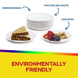 Hygloss Products 69109 Paper Plates