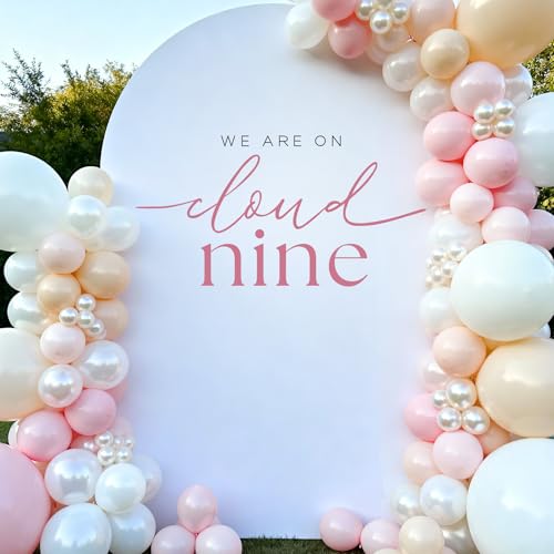 Aoemon On Cloud Nine Baby Shower Decorations