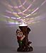 HOMESHINE Garden Gnome Statues and Sculptures with Solar Lights Outdoor Decorations 12 Inch
