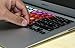 Herngee Left and Right Brain MacBook Keyboard Decal Keyboard Skin Vinyl Sticker Compatible with MacBook Pro 13