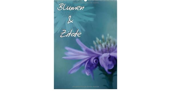 Blumen Zitate Author Bässler Christine 9783660497656 Amazon