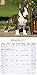 Bull Terrier Calendar 2017 - English Bull Terrier - Dog Breed Calendars - 2016 - 2017 wall calendars - 16 Month by Avonside