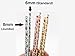 75-Pack Eco-Friendly Biodegradable Paper Straws - Vintage Rose & Floral Design in Pink, Blue, Yellow - Disposable Straws for Parties By JPACO