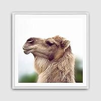 Framed Canvas Wall Art Alpaca Canvas Prints Home Artwork Decoration for Living Room,Bedroom - 16x16 inches