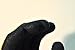 G & F 1528XL GripMaster Cold Weather Outdoor Work Gloves, Winter Driving Gloves, Micro-Foam Latex Double Coated, heavy Duty, XLarge, 1 Pair