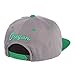 NCAA Zephyr Men's Z11 Static Snapback Hat