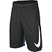 NIKE Boys' Dry HBR Athletic Shorts, Anthracite/Equator Blue/White, Medium