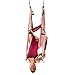 YOGABODY Yoga Trapeze (Official) with DVD, Baby Pink - Yoga Inversion Swing
