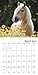 Muhammad Ali 2018 Calendar