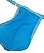 Honanda Mens Sexy Hot See Through G-String T-Back Underwear Thong (Blue)