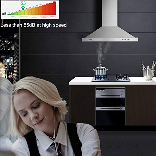 Tieasy Range Hood, Range Hoods 30 inch Stainless Steel, 450 CFM Kitchen