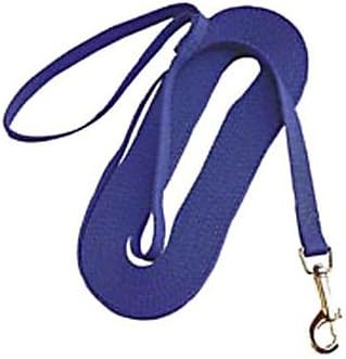 OmniPetLeather Brothers 25-Feet Nylon Training Lead, X-Small, Blue