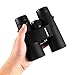 Wingspan Optics WingCatcher HD 8X42 Professional Binoculars for Bird Watching. HD Color True Clarity and Brightness Close Up or Far Away. Extra Wide Field of View. Close Focus. Waterproof. Fog Proof.