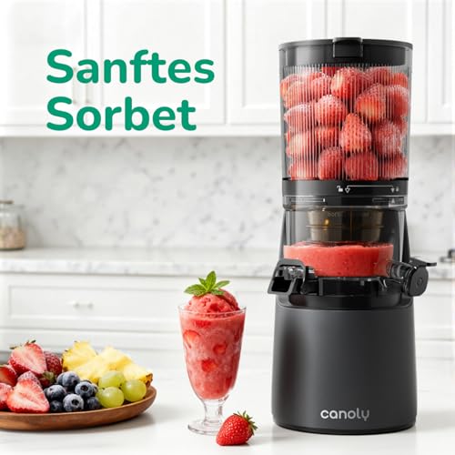 Spremiagrumi con foro di riempimento extra large 150 mm, filtro 3 in 1 (per succo, sorbetto e latte di noci), volume di riempimento 2,6 l, spremiagrumi lento con motore AC, sistema