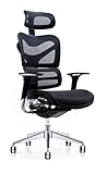 Poly and Bark Inverness Ergonomic Office Chair in Mesh, Black