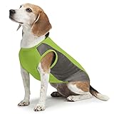 Insect Shield Insect Repellant Breathable Mesh Tank for Protecting Dogs from Fleas, Ticks, Mosquitoes & More