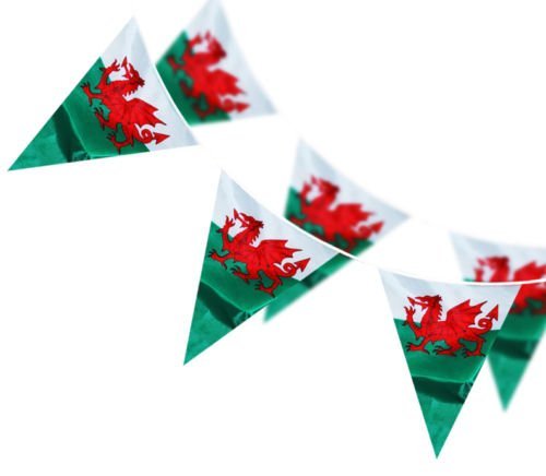 FASHION REVIEW NEW 10 METER UK GB WALES WELSH CYMRU NATIONAL DRAGON TRIANGULAR BUNTING FLAGS