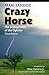 Crazy Horse: The Strange Man of the Oglalas by 