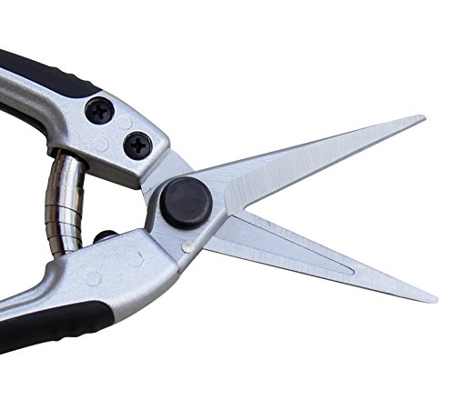 TABOR TOOLS K18A Straight Pruning Shears, Florist Scissors, Multi-Tasking Garden Snips for Arranging Flowers, Trimming Plants and Harvesting Herbs, Fruits or Vegetables (Japanese Style Blades)