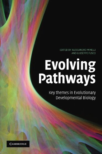 EVOLVING PATHWAYS