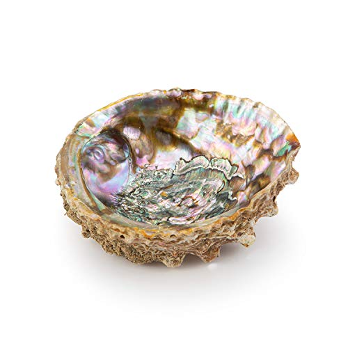 3 Tatum+Shea+Sage+Smudge+Small