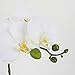LIVILAN Artificial Flower Arrangement Lifelike Silk Orchid Artificial Flower with Decorative Ceramic White Square Vase Vivid Potted Orchid Plant,White