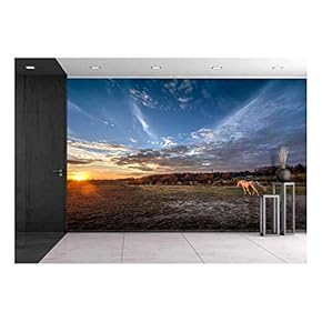 Horses Grazing on a Maryland Pasture at Sunset - Removable Wall Mural | Self-Adhesive Large Wallpaper - 66x96 inches