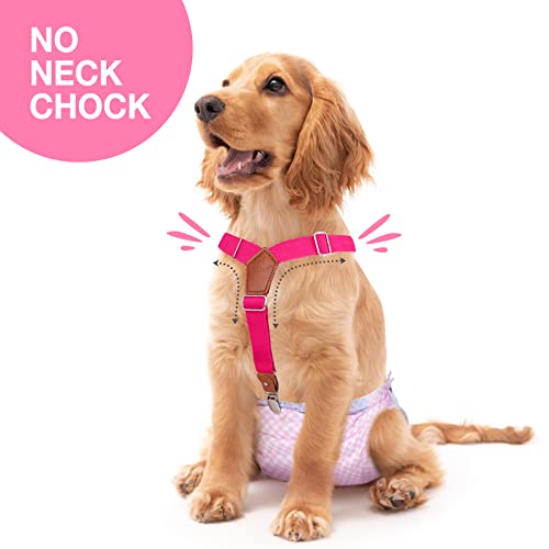 Pet Soft Dog Suspenders 2 Pieces Female Dog Diaper Suspenders for Dogs