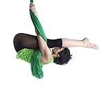 DASKING Premium Aerial Yoga Hammock Kit Flying Yoga Silk Kit (Dark Green)